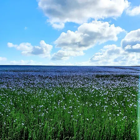 D'hotes Au Gre Du Vent En Normandie Panzió 3*